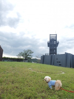 ���p�قɂ�