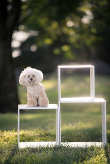 ���[��[���̎ʐ^��