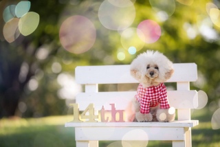 �f���`�I��