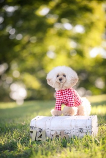 ������́B