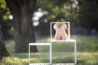 �������j���[�X