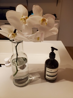 ���₷�݂Ȃ����`