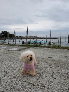 �y�����[