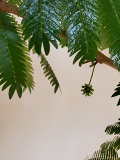 �G�o�[�t���b�V���̉�