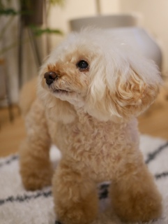 ����������B