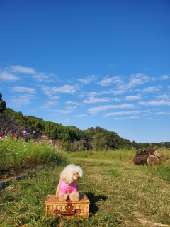 �R�X���X���[�h��