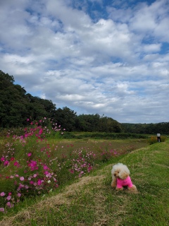 �R�X���X��