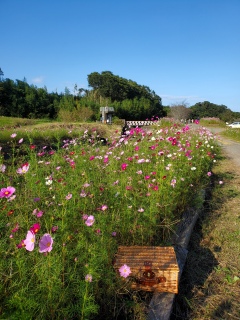 ���x���W