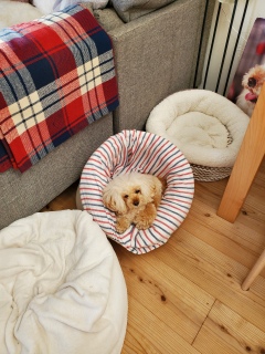 ���������a��