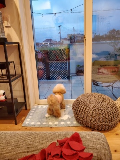 �����[�[�[�[�[