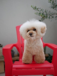 LUMIX�ŎB����