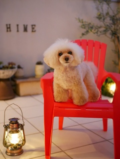 ���₷�݂Ȃ����`