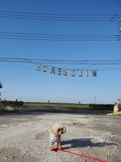 ���܂ɂ́A������