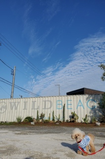 �y���������ˁ`