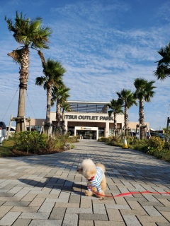 ����������}�[�N��