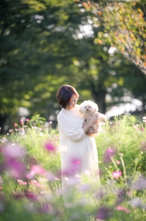 �f�G�����