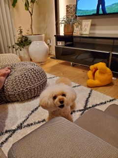 ���̎��ԂɂȂ��