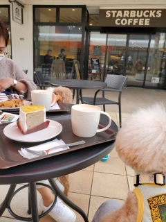 �悭���������