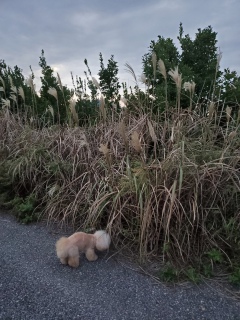 �����A�A�A