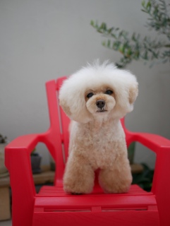 ���[��[�́B