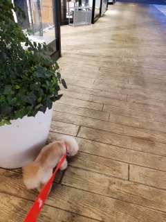 �N���N��