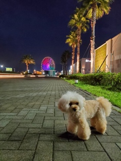 10������