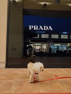 �P����ƕ�