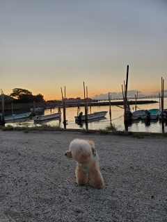 �ō��̋C�������