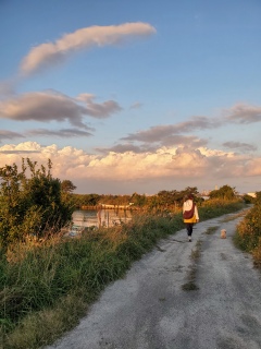 �����̋�