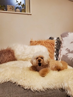 ���₷�݂Ȃ���