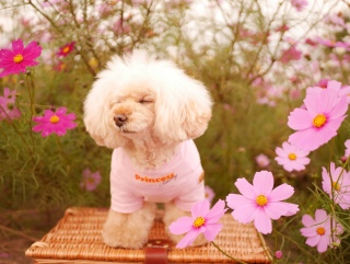 ���x���W����������