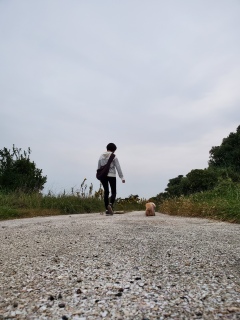 ���U���́Y