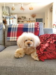 ���͂�[��