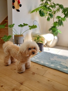 �N���Ă����A�A�A