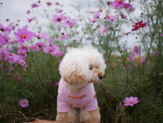 �p������