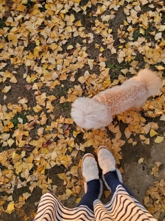 ₷݂Ȃ