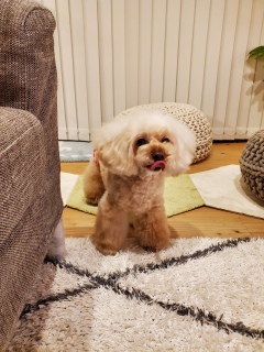 ȁ[