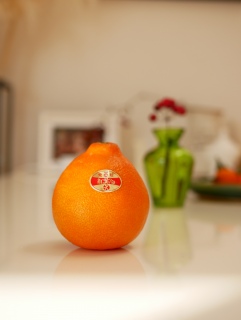 g܂ǂ