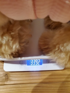 3.392L