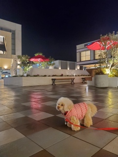 ÂȂ