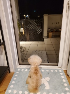 AĂ