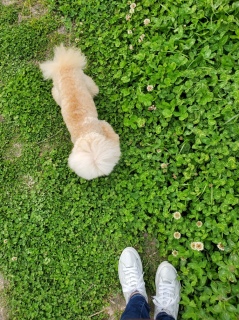 CłȂB