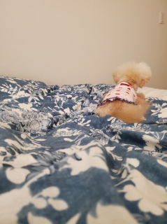 ݂H