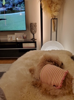 قړ