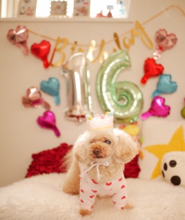 Happybirthday!!!