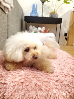 Qq͈